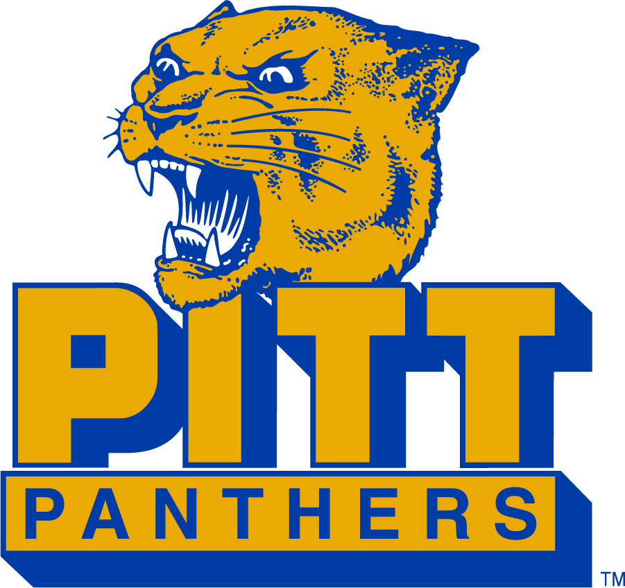 Pittsburgh Panthers 1977-1987 Alternate Logo v2 diy iron on heat transfer